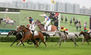 Giải Mã Cách Tìm Hiểu Cá Cược Đua Ngựa M88 Dễ Thắng