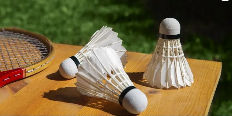 Chuyên Gia Bật Mí Cách Chơi Cá Cược Cầu Lông M88 Siêu Chuẩn 2 Chuyên Gia Bật Mí Cách Chơi Cá Cược Cầu Lông M88 Siêu Chuẩn