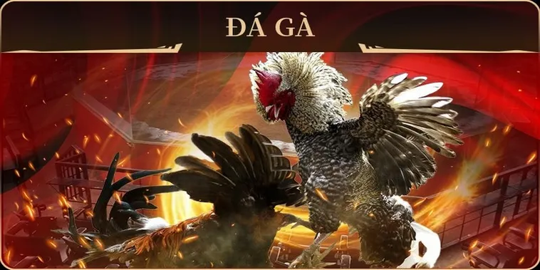 Nắm Trọn Cách Chơi Đá Gà GA28 Tại M88 Bách Phát Bách Trúng 2 Nắm Trọn Cách Chơi Đá Gà GA28 Tại M88 Bách Phát Bách Trúng