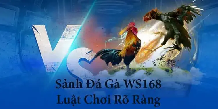 Chinh Phục Cách Chơi Đá Gà WS168 Tại M88 Cho Người Mới 2 Chinh Phục Cách Chơi Đá Gà WS168 Tại M88 Cho Người Mới
