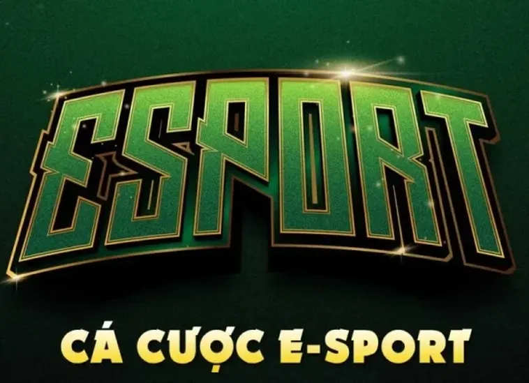 Bí Kíp Cá Cược Thể Thao Điện Tử M88 Trăm Trận Trăm Thắng 2 Bí Kíp Cá Cược Thể Thao Điện Tử M88 Trăm Trận Trăm Thắng